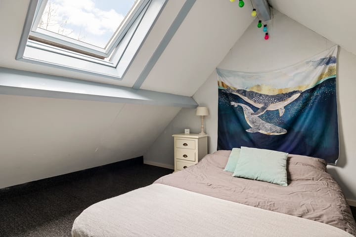 Foto 31 van Laan van Havezathen 46