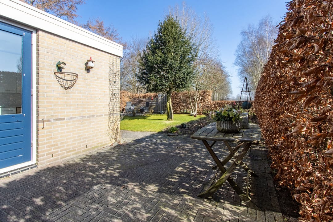 Foto 31 van Dotterbloem 57