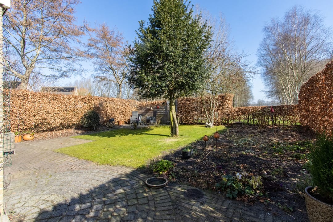 Foto 32 van Dotterbloem 57