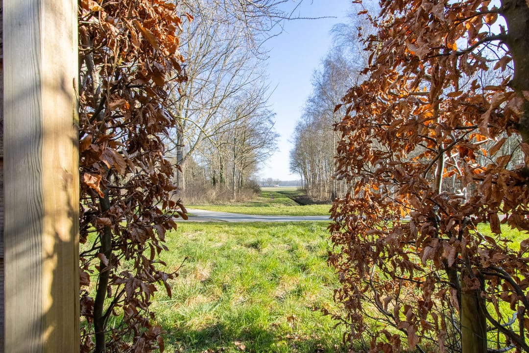 Foto 37 van Dotterbloem 57