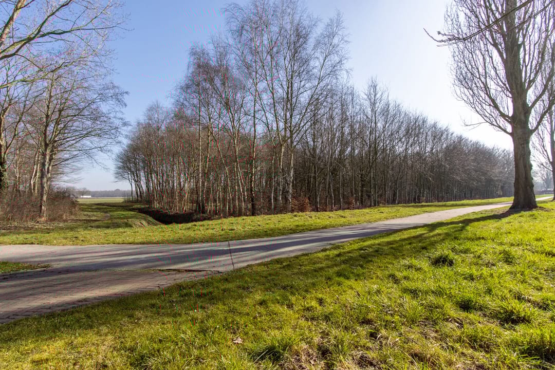 Foto 38 van Dotterbloem 57