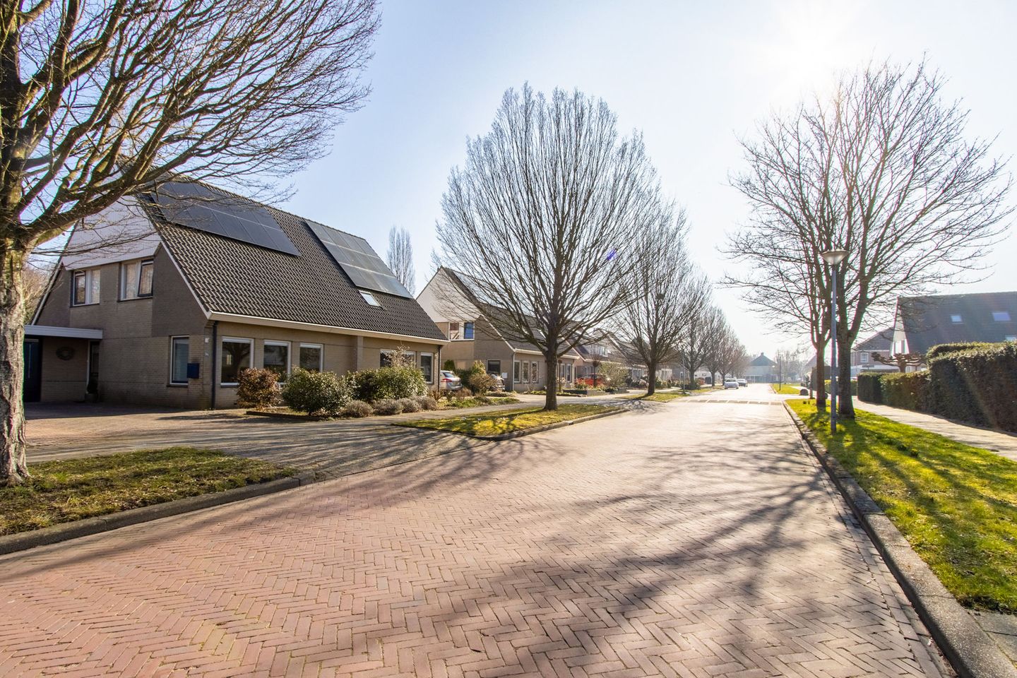 Foto 40 van Dotterbloem 57