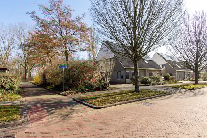 Foto 39 van Dotterbloem 57