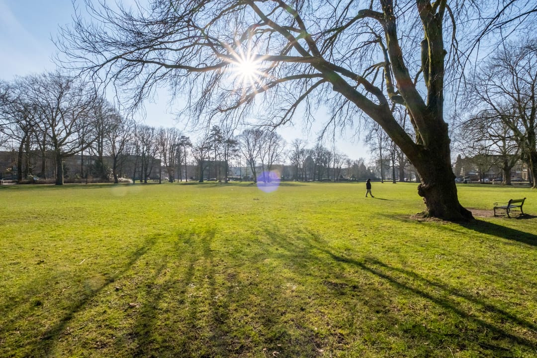 Foto 28 van Bolstraat 9-BS