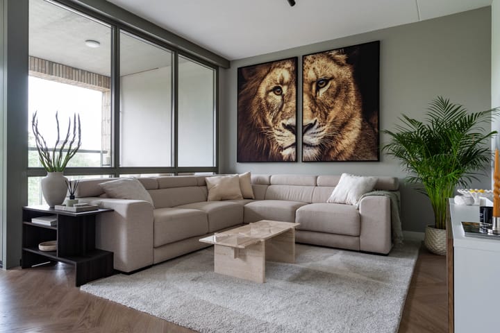 Foto 2 van Terheijdenstraat 194