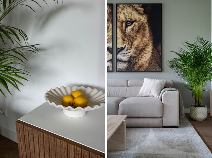 Foto 17 van Terheijdenstraat 194