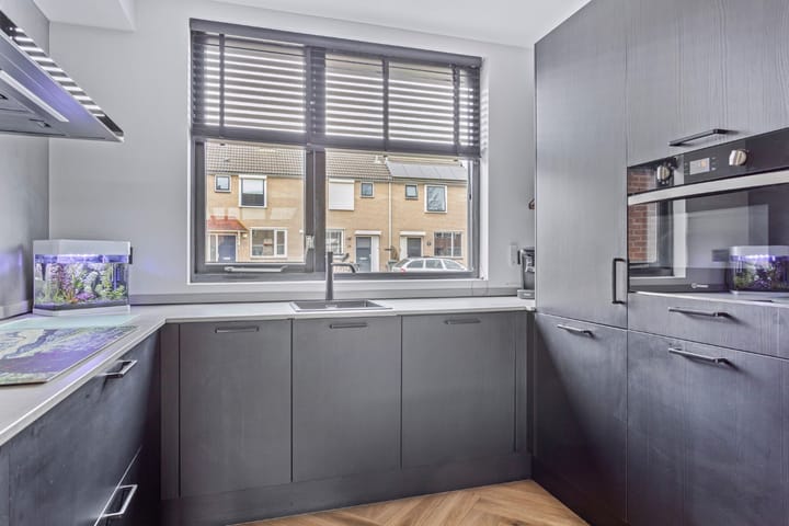 Foto 3 van Goudplevier 48