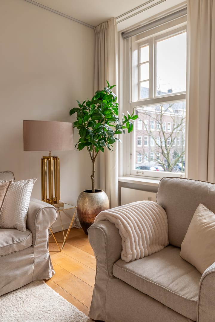 Foto 6 van Minervaplein 34-1