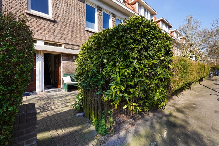 Foto 5 van Druivenstraat 71