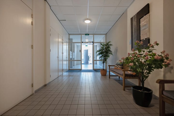 Foto 6 van Damlaan 62-B