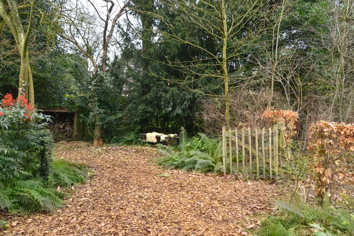 Foto 10 van Prins Bernhardlaan