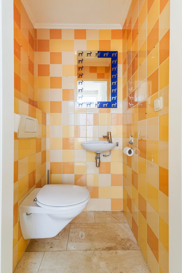 Foto 9 van Europalaan 40