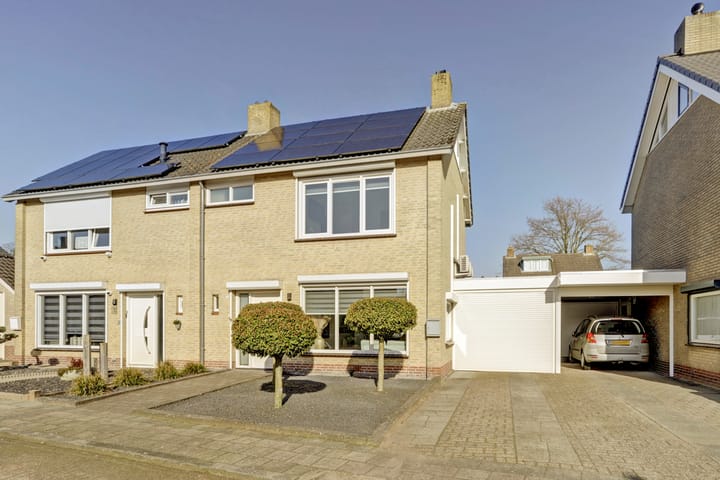 Foto 1 van Paulus Potterstraat 11