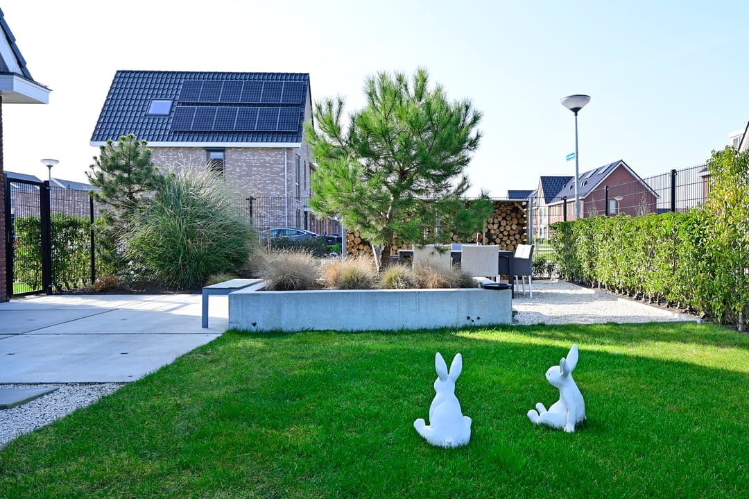 Foto 43 van De Walvisch 42