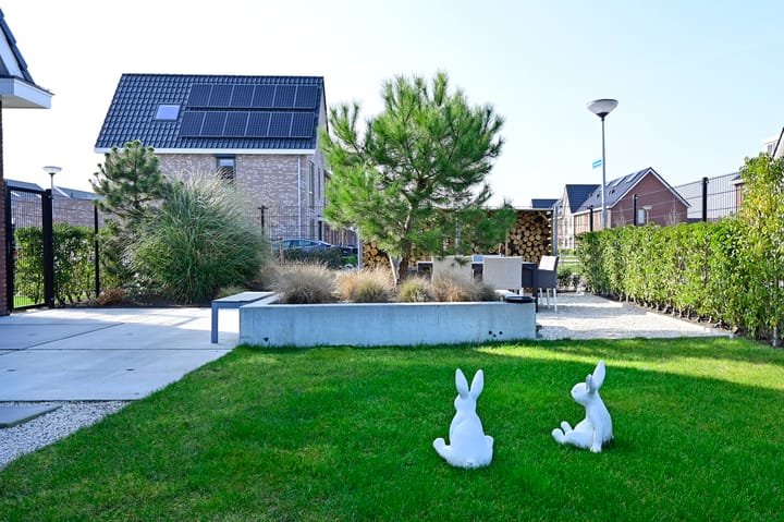 Foto 43 van De Walvisch 42