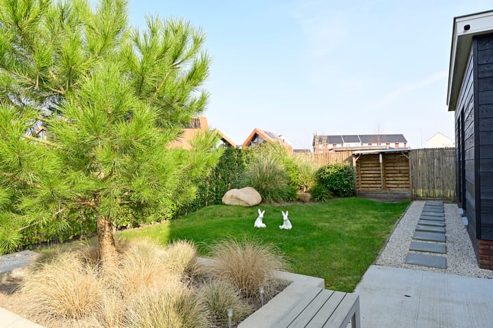 Foto 45 van De Walvisch 42