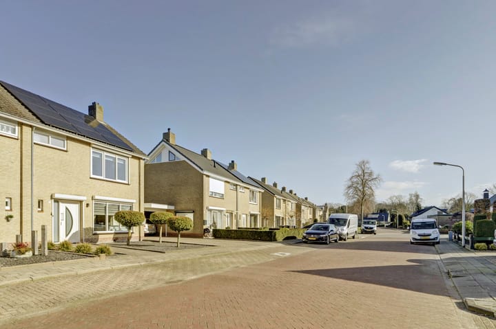 Foto 43 van Paulus Potterstraat 11