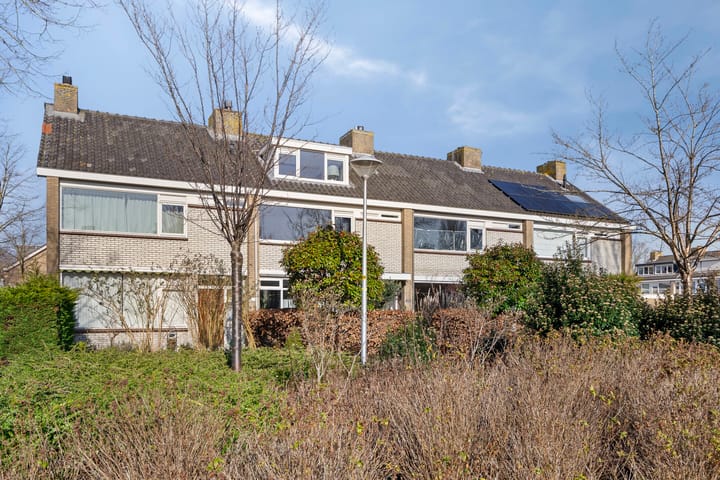 Foto 2 van Van Polanenpark 300