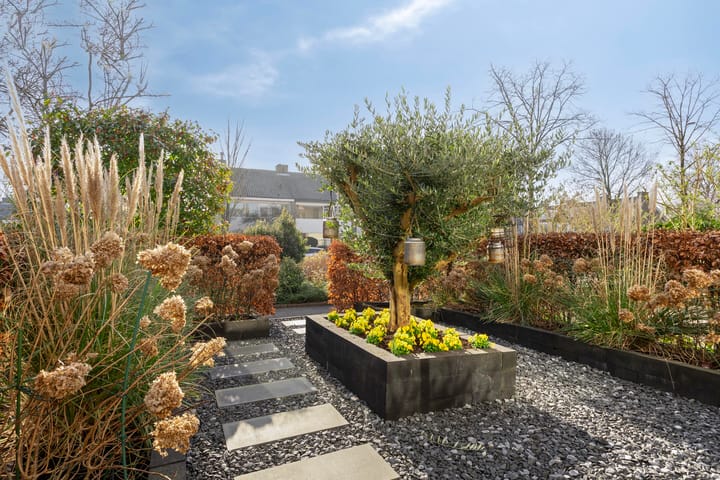 Foto 4 van Van Polanenpark 300