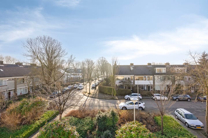 Foto 36 van Van Polanenpark 300