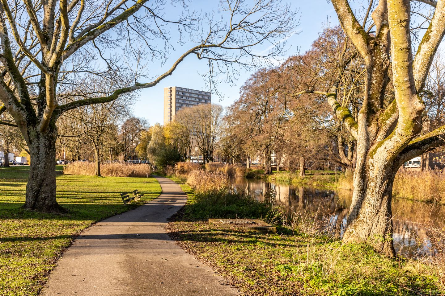 Foto 40 van Israëlslaan 12-4