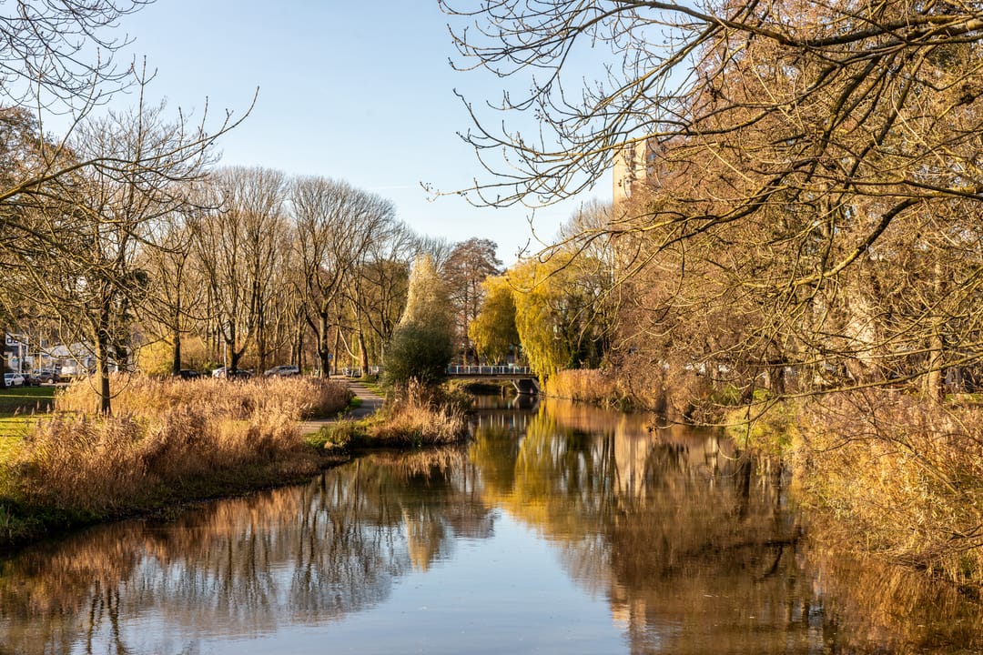 Foto 41 van Israëlslaan 12-4