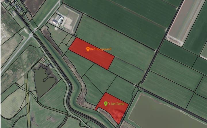 (Het Hoogeweid) Oude Schoorlse Zeedijk -ONG
