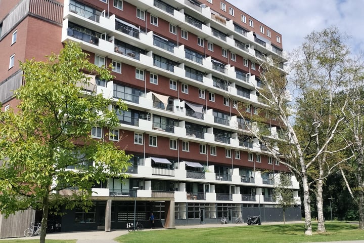 Jan Wiegersstraat 75