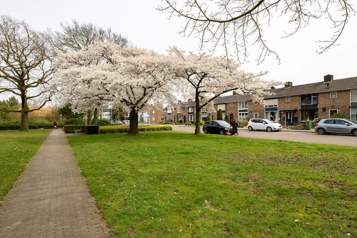 Foto 38 van Bruggenmorsweg 93