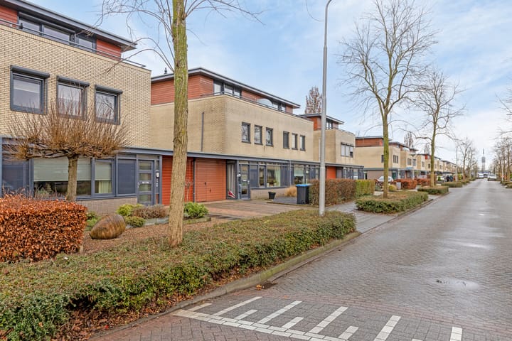 Foto 36 van Madeliefberg 36