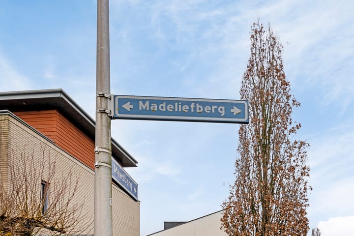 Foto 37 van Madeliefberg 36