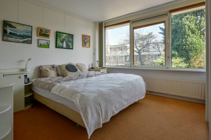 Photo 12 of Bolestein 59