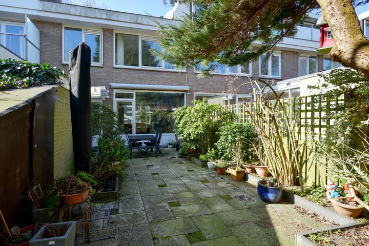 Photo 22 of Bolestein 59