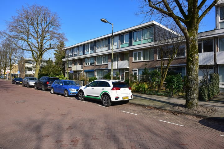 Photo 26 of Bolestein 59