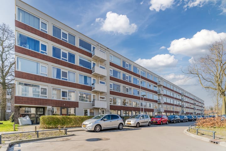 Photo 42 of Adenauerlaan 95