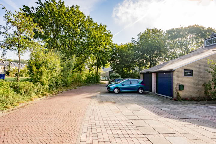 Foto 23 van Zilverreiger 22