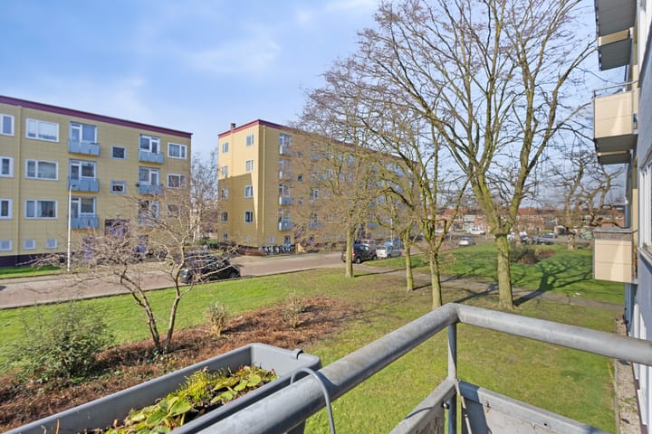 Foto 7 van Wijnbesstraat 47