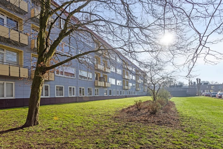 Foto 28 van Wijnbesstraat 47