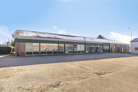 undefined main image