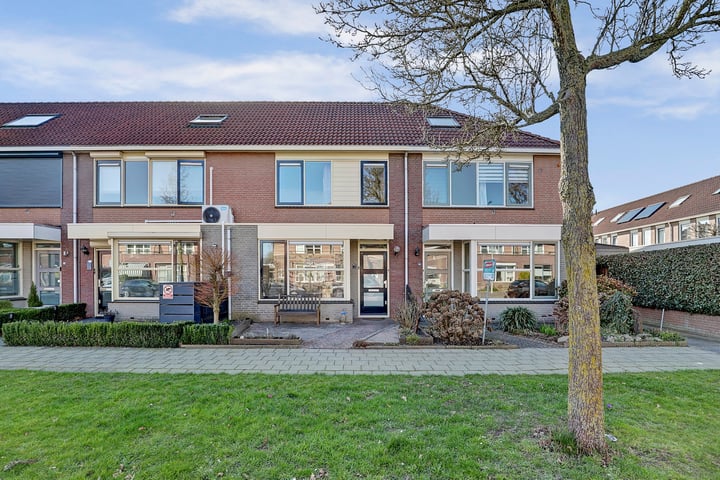 Bekijk foto van Duifkruid 59