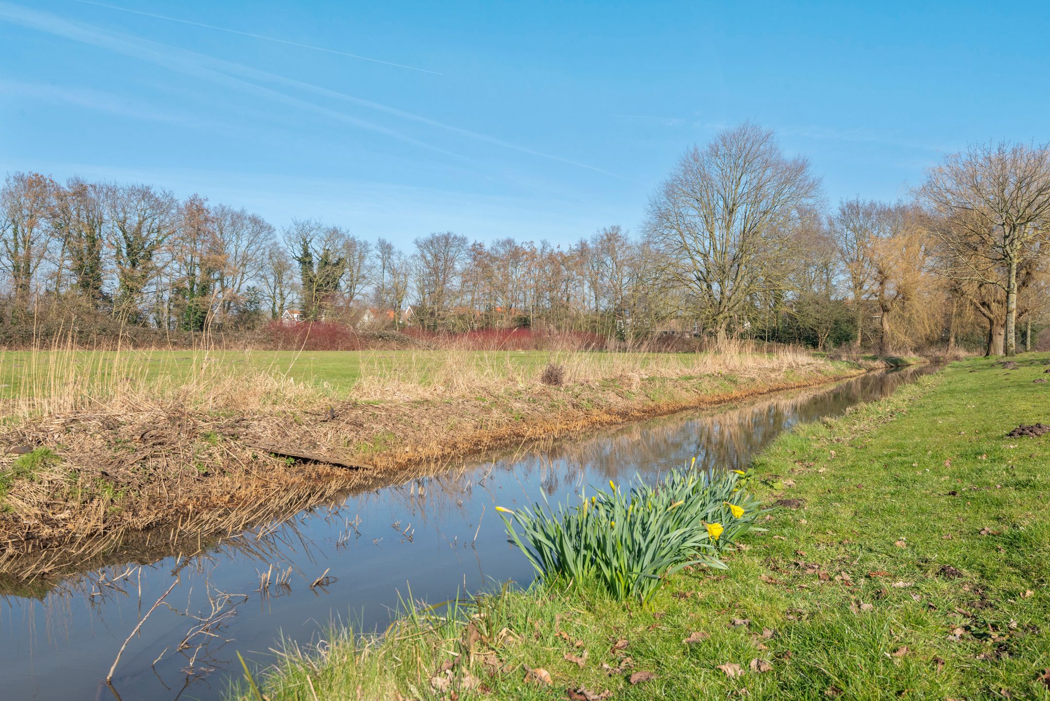Photo 30 of Santpoortse Dreef 58