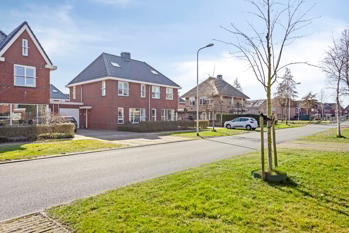 Foto 31 van Valeriaan 25