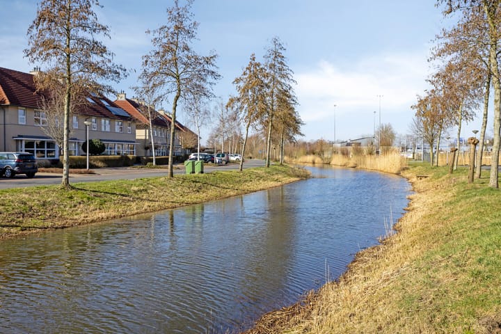 Foto 33 van Valeriaan 25