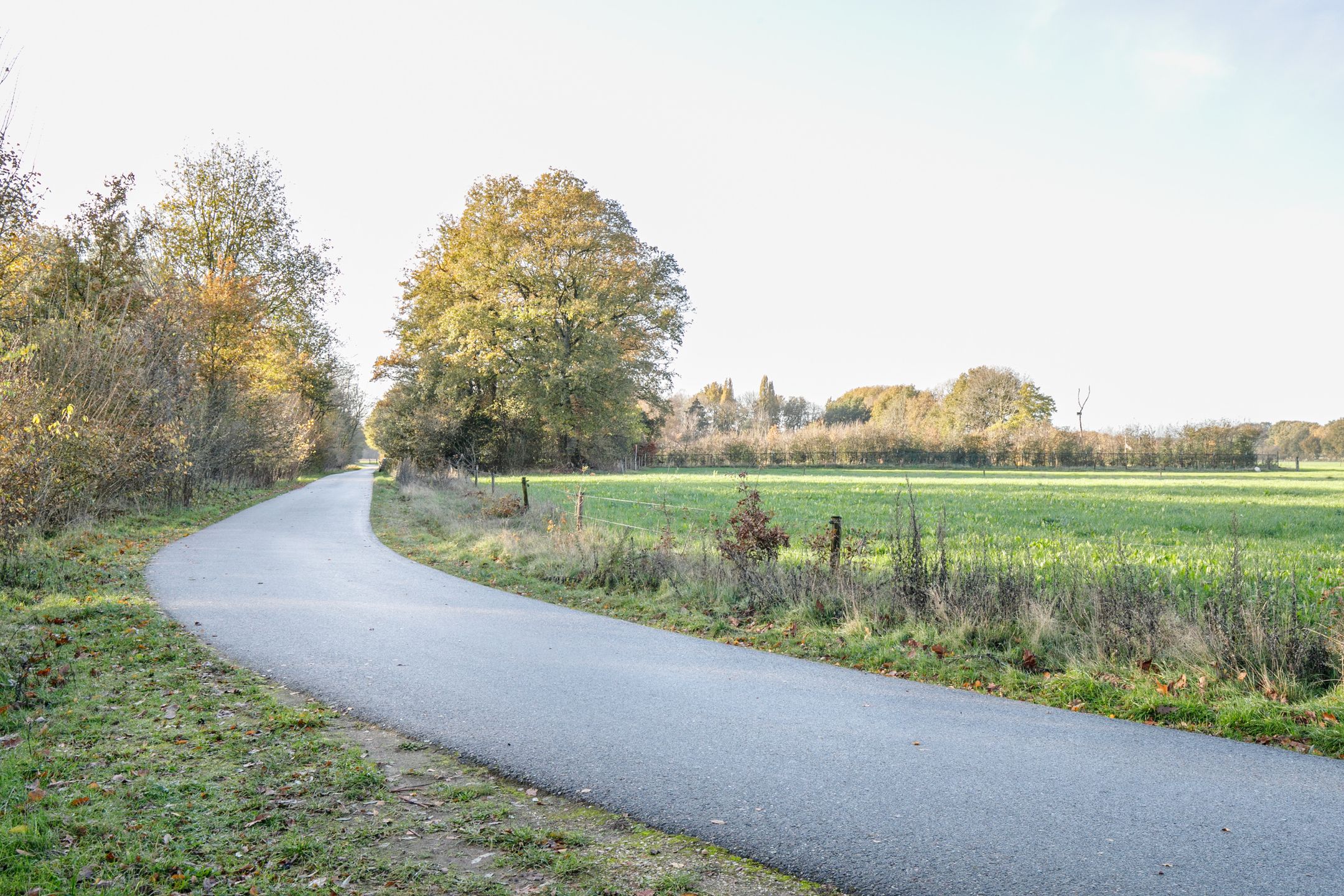 Foto 3 van Kampweg 34-T