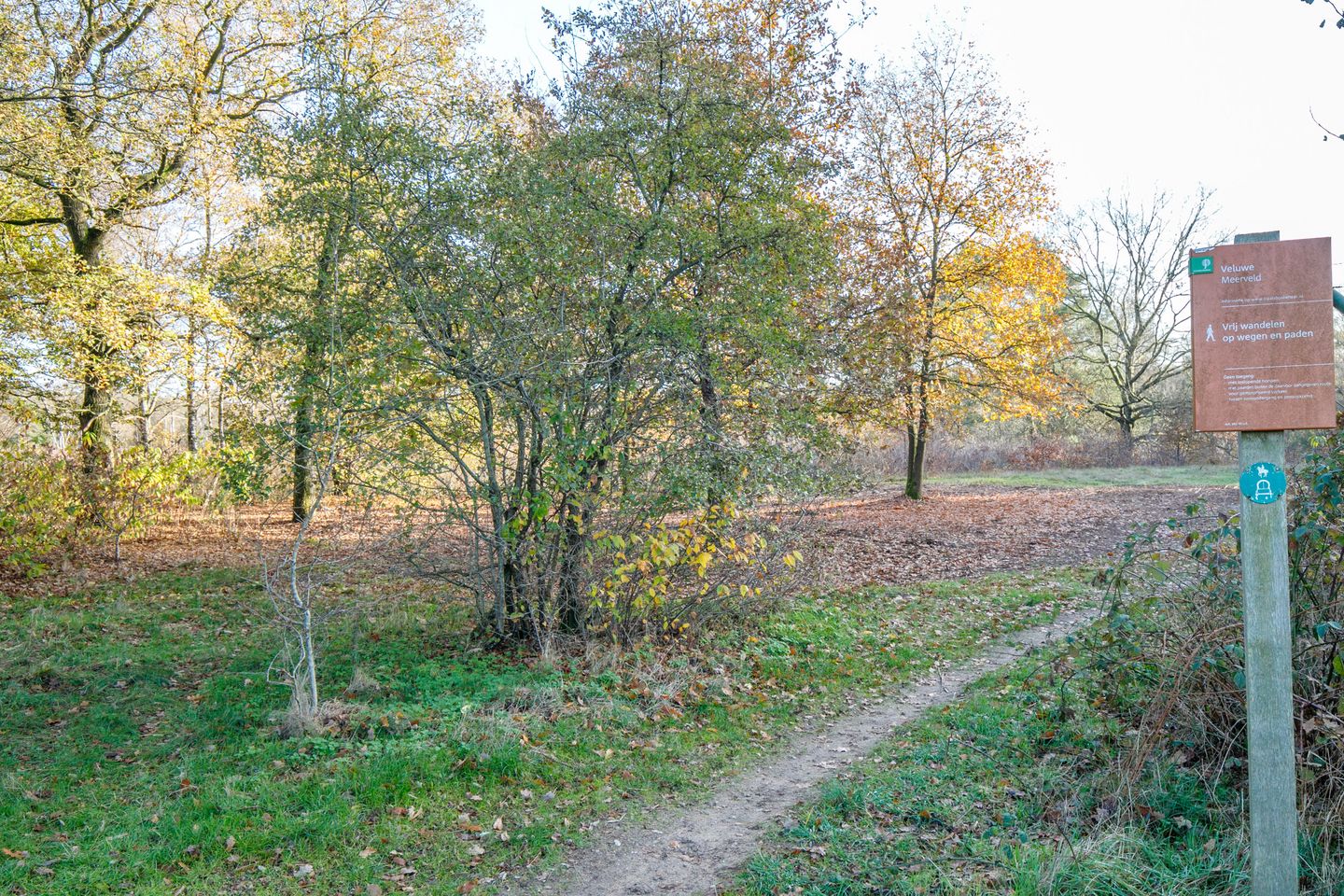 Foto 4 van Kampweg 34-T