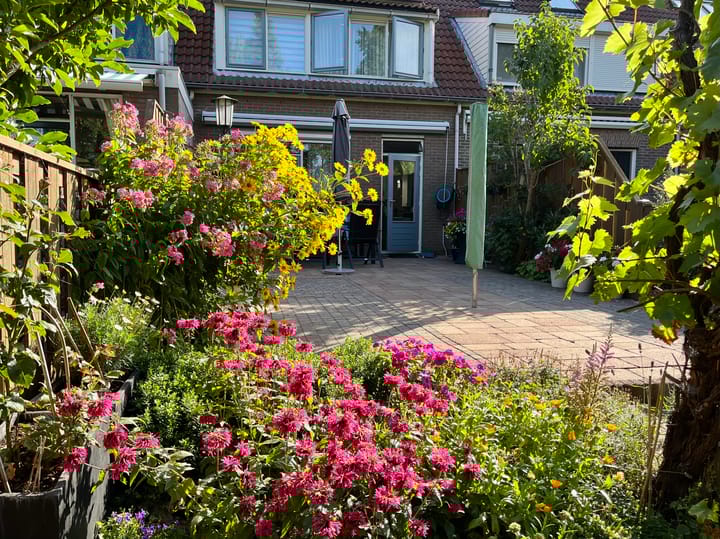 Photo 47 of Aletta Jacobsstraat 27