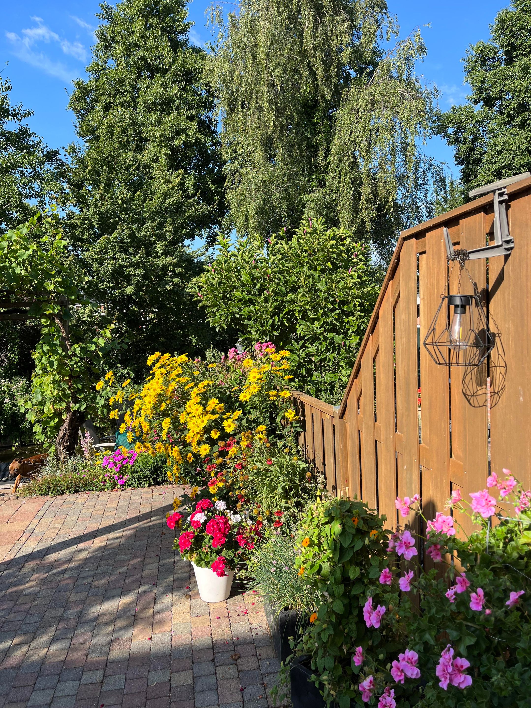 Foto 48 van Aletta Jacobsstraat 27