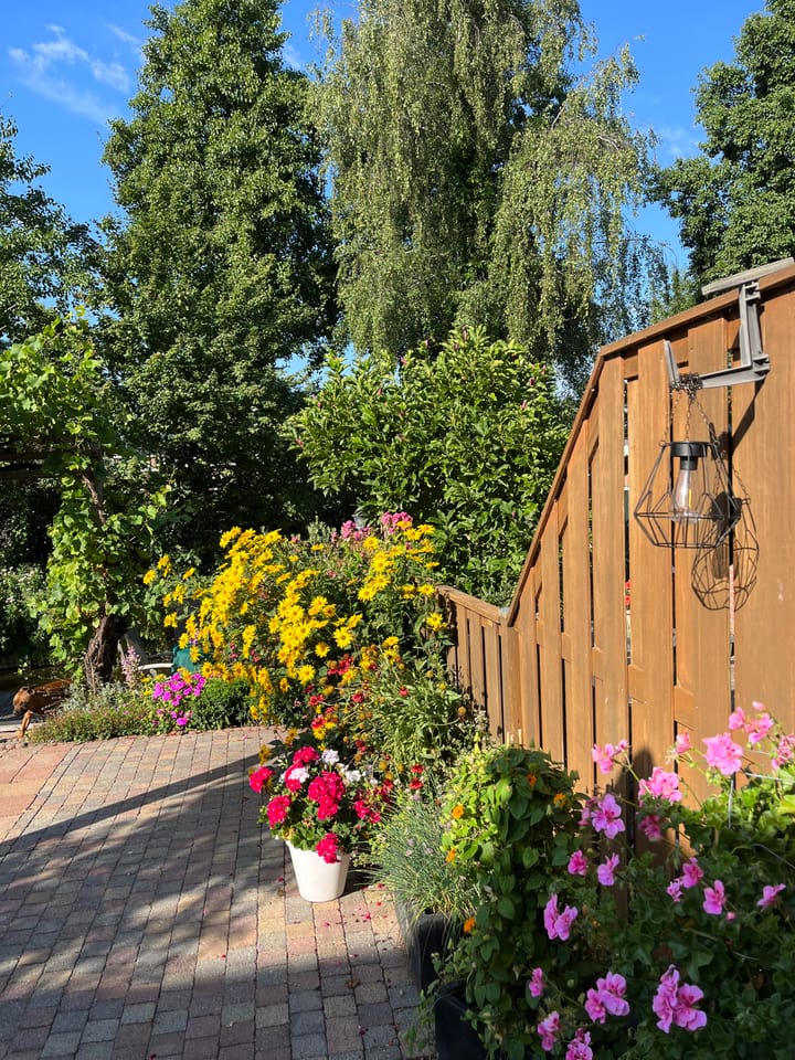 Photo 48 of Aletta Jacobsstraat 27