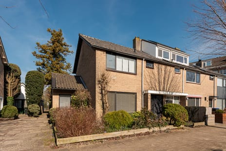 undefined main image