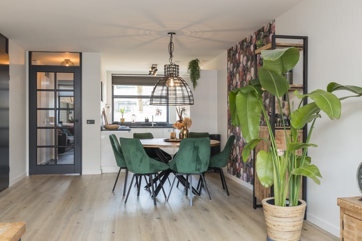 Photo 16 of Hondskruid 28